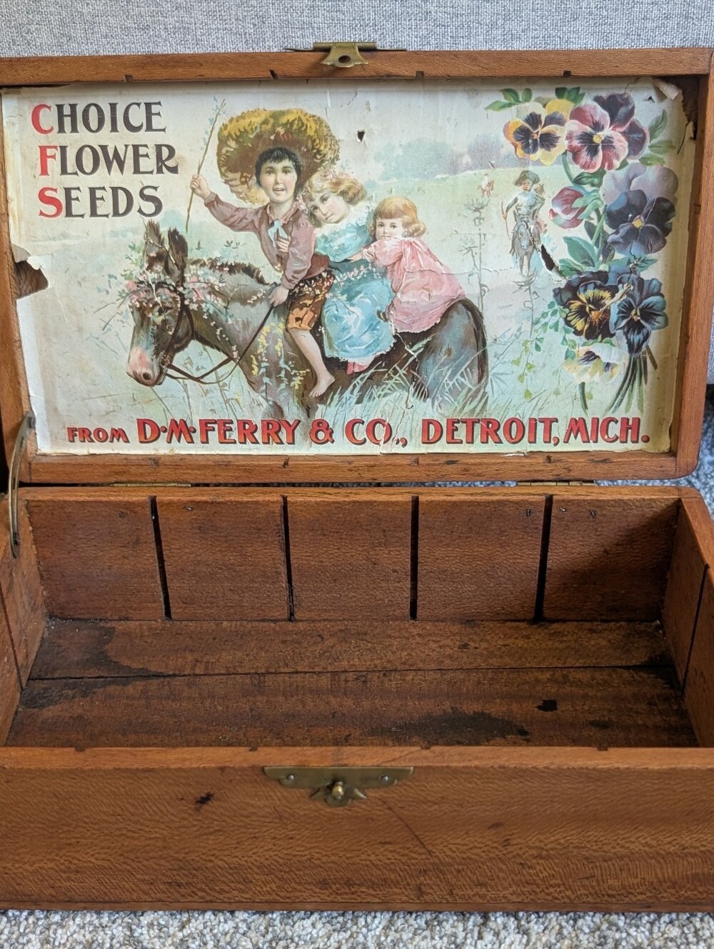 Antique Choice Flower Seeds D.M. Ferry & Co. Display Brown Wooden Box Detroit MI